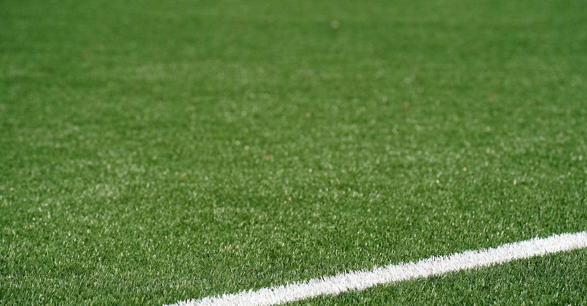 Synthetic Turf, Gas Stoves, and Cyborg Cells: Health Risks Rise
