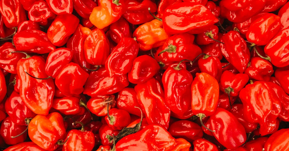Antibiotics from Scorpion Venom and Habanero Peppers