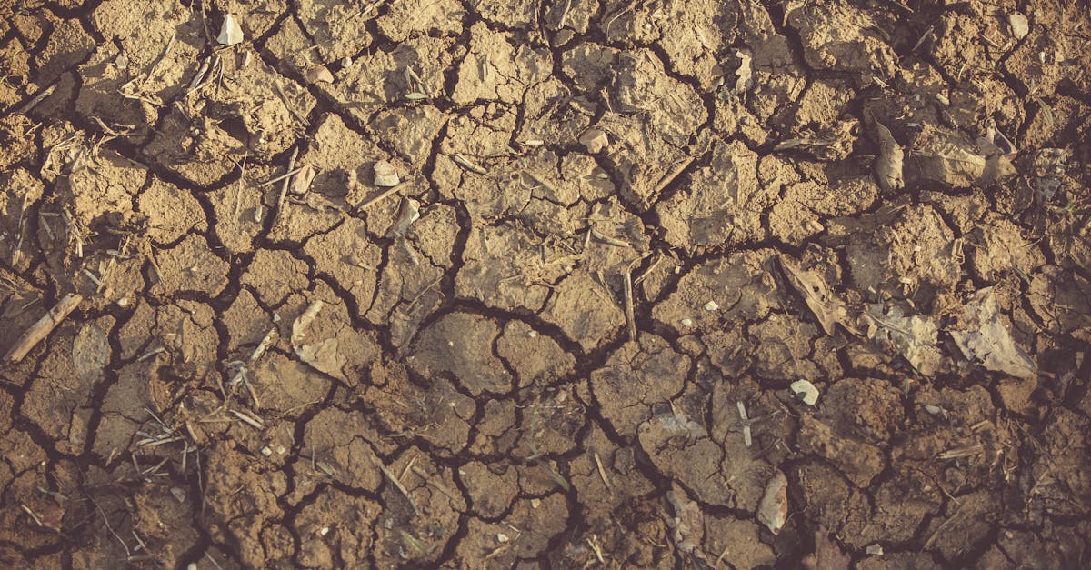 drought