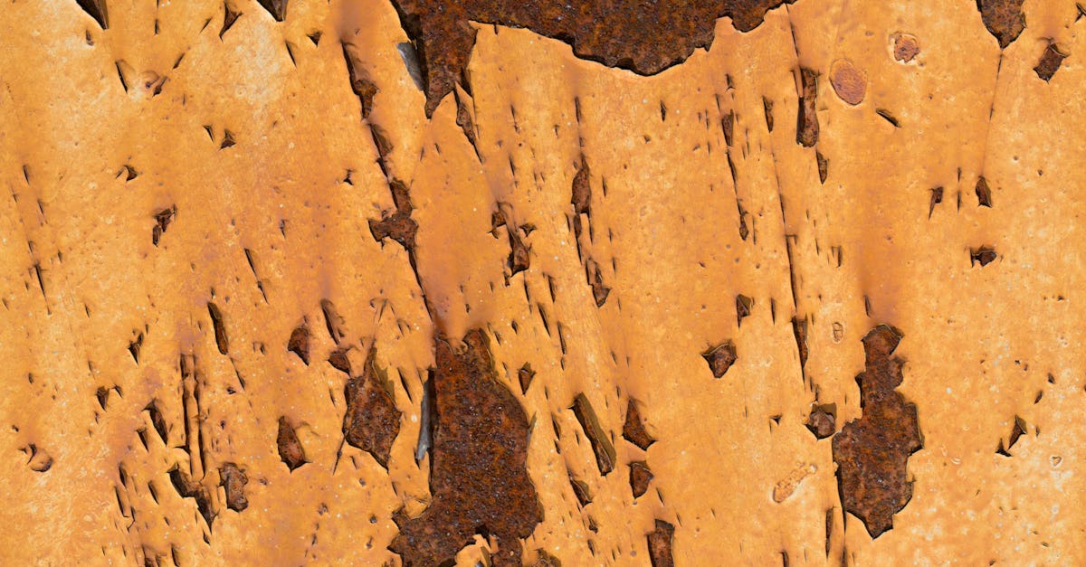 Rust-but-Lisp