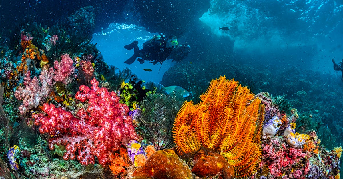 underwater alien landscape with diver beside chaotic newsroom
