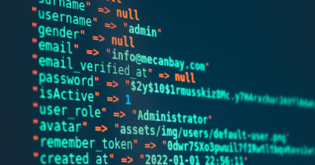 developer comparing massive database file to tiny binary on laptop screen