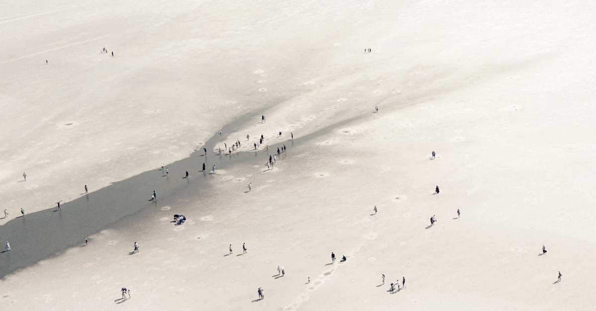TracesOfHumanity