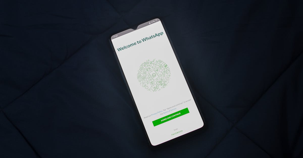 Meta AI on WhatsApp