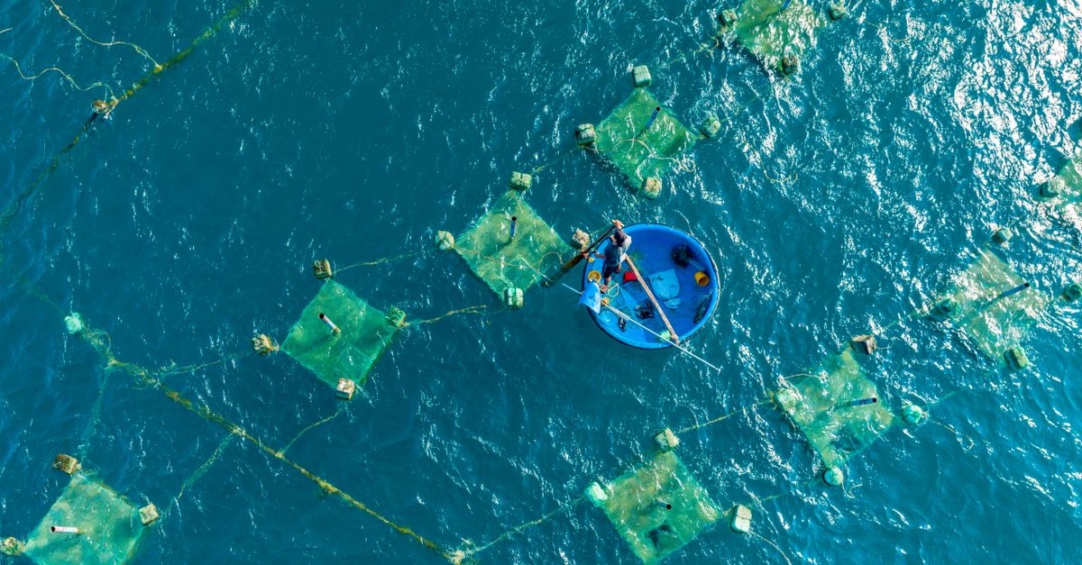 NOAA’s fishing-first agenda threatens marine science