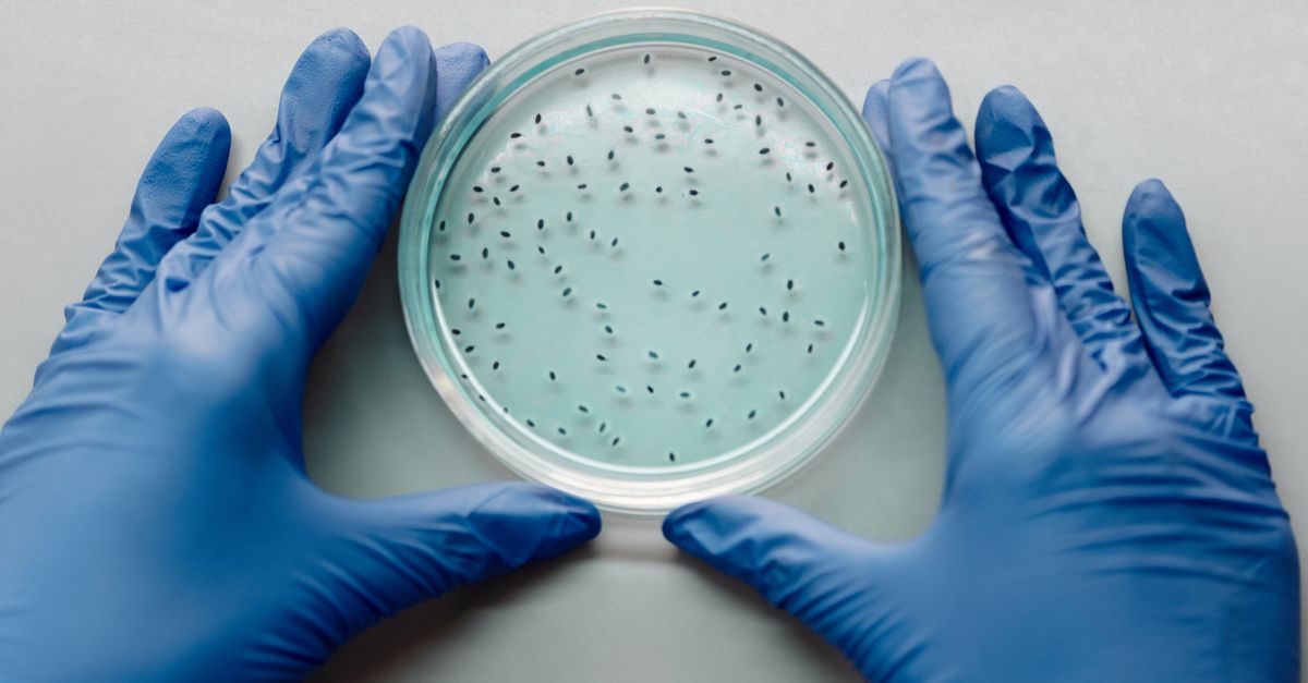 Synthetic Cell Marks New Era for Bio‑Engineering